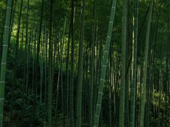 -黄公望隐居地