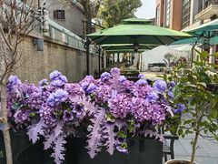 -思南公馆商业街