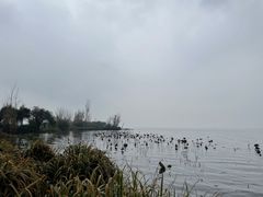 -西昌邛海湿地