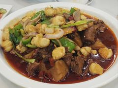 -马旭土鸡焖花卷新疆菜大盘鸡·真域顺西域美食(天马大道店)