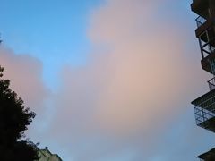 -府河摄影公园