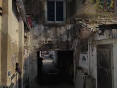 -三林塘老街