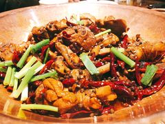 -成老灶火锅鸡(高东街店)