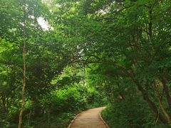 -萨尔浒风景区