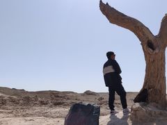 -敦煌雅丹国家地质公园