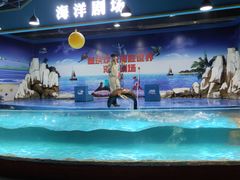 -重庆欢乐海底世界