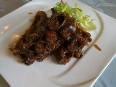 香脆红烧黄鱼-品悦酒店(三林古镇店)
