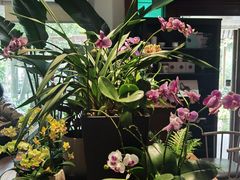 -谷咖啡·鲜花绿植花园餐厅