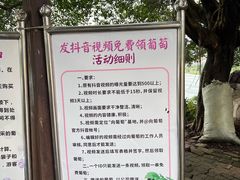 -向葡萄庄园
