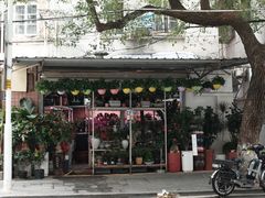 -溪岸路花鸟市场