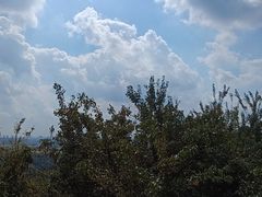 -上海佘山国家森林公园西佘山园