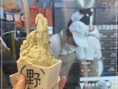 -野人先生现做冰淇淋(北京顺义祥云小镇店)