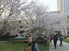 -复旦大学光华楼
