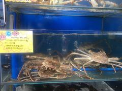 -蚝专家(北滘店)