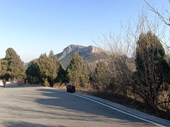 -佛慧山