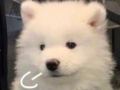-胡桃里音乐酒馆(环亚凯瑟琳广场店)