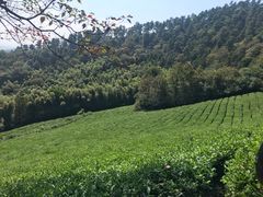 -敬亭山风景名胜区