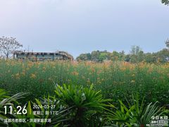 -洪湖家庭农场·团建·露营·会议