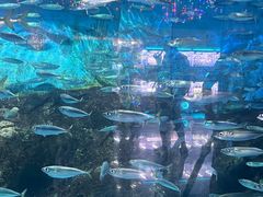 -大连老虎滩海洋公园