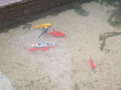 -泉乐坊步行街(烟酒特产平价超市店)