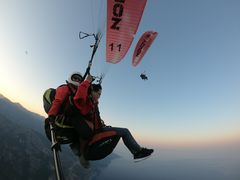 -费特希耶滑翔伞