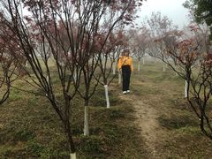 -广州市帽峰山景区