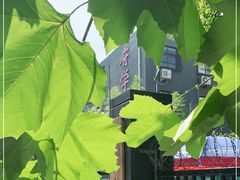 -北京市府学胡同小学
