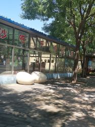 -大望京儿童游乐场