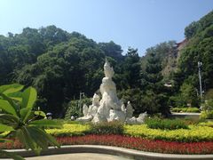 -金鸡山公园