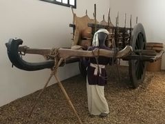 -越南民族学博物馆