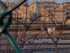 -莲花池公园