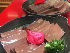 -谭鸭血老火锅(七宝万科广场店)