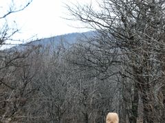 -安吉龙王山风景区
