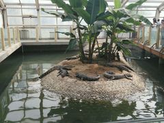-石家庄极地海洋世界