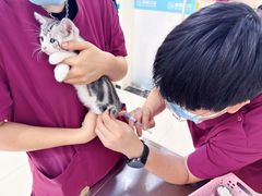 -美联众合动物医院·24h京西诊疗中心