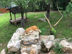 -济南野生动物世界