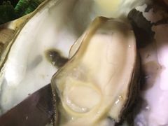 -大富蚝乌东哥饭店·石锅鱼杂·柠檬鸭(革新路店)