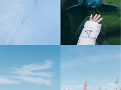 -宁波杭州湾国家湿地公园