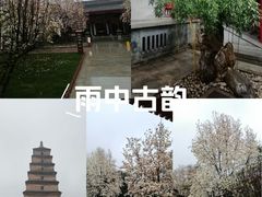 -大慈恩寺(大雁塔)