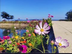 -西山风景区