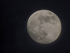 -大江户日本料理(吕厝店)