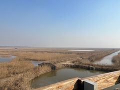 -盐城丹顶鹤湿地生态旅游区