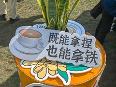 -陆家嘴中心绿地