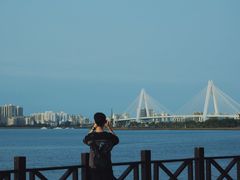 -万绿园
