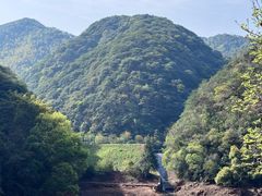 -午潮山国家森林公园