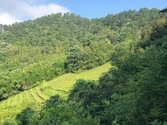 -敬亭山风景名胜区