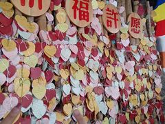-观澜山水田园