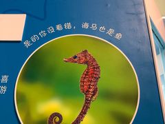 -天津自然博物馆