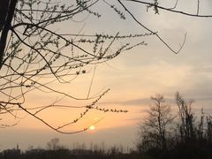 -白鹭湾湿地公园