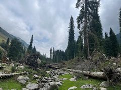 -新疆国际大巴扎